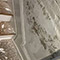Basement Mold Remediation in Baltimore, MD