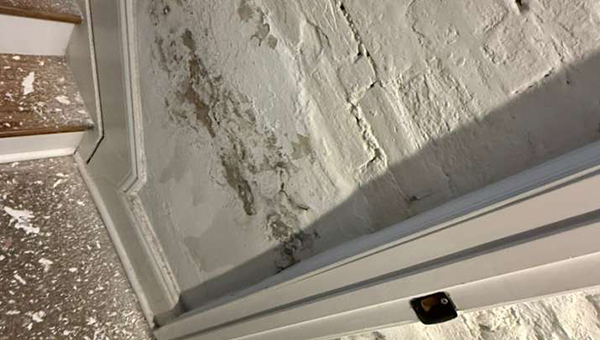 Basement Mold Remediation in Baltimore, MD