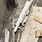 Basement Mold Remediation in Baltimore, MD