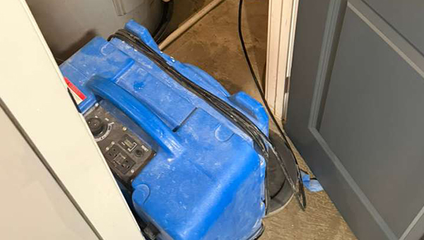 Basement Mold Remediation in Baltimore, MD