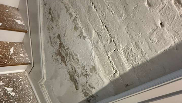 Basement Mold Remediation in Baltimore, MD