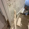 Basement Mold Remediation in Baltimore, MD