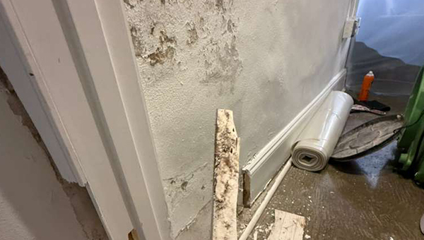 Basement Mold Remediation in Baltimore, MD