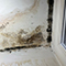 Water Damage Restoration in Washington, DC
