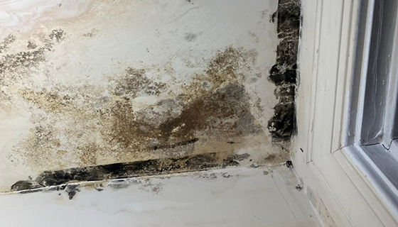 Water Damage Restoration in Washington, DC