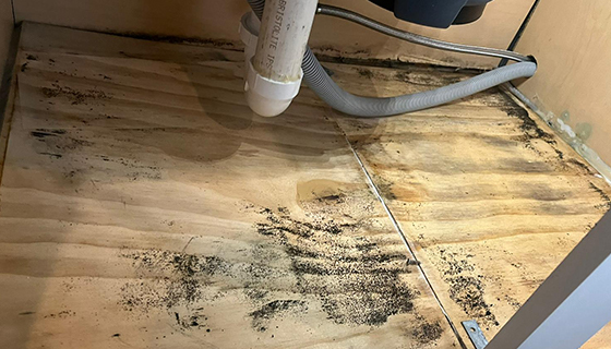 Water Damage Restoration in Washington, DC