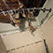 Water Damage Restoration in Baltimore, MD