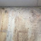 Mold Treatment in Miami, FL