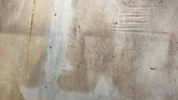 Mold Treatment in Miami, FL