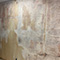 Mold Treatment in Miami, FL