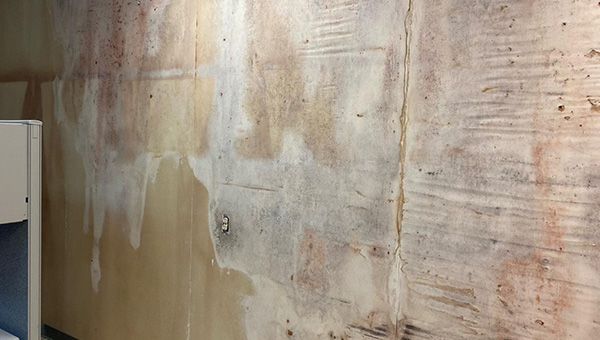 Mold Treatment in Miami, FL