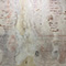 Mold Treatment in Miami, FL