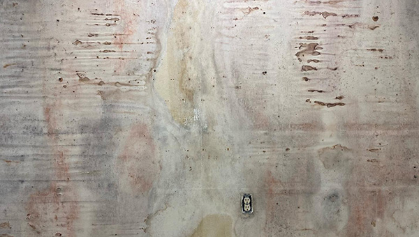 Mold Treatment in Miami, FL