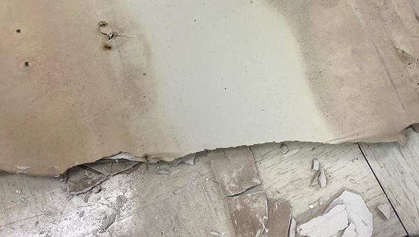 Mold Treatment in Miami, FL