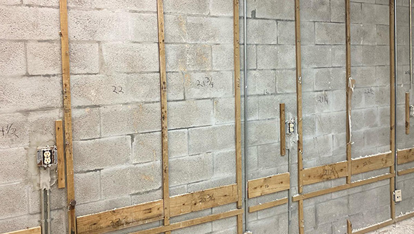 Mold Treatment in Miami, FL