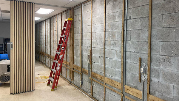 Mold Treatment in Miami, FL