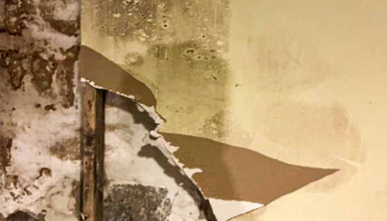 Water Damage Restoration in New Jersey