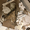 Water Damage Restoration in Miami, FL