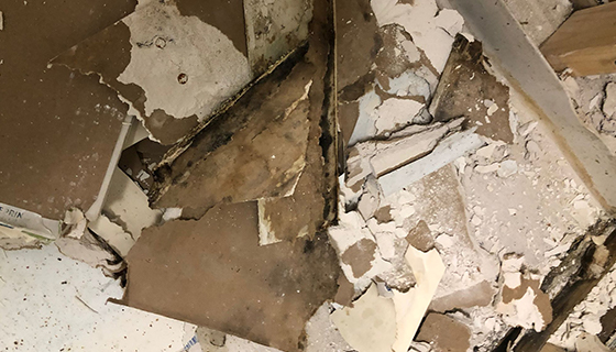 Water Damage Restoration in Miami, FL