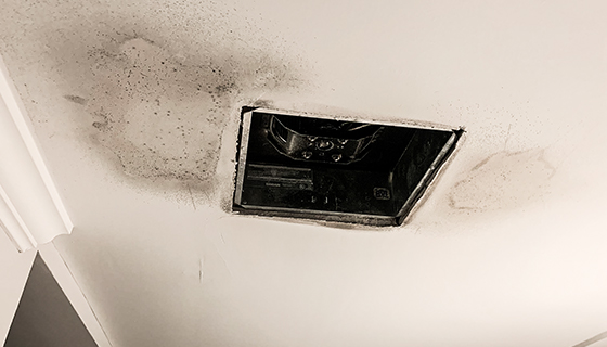 Water Damage Restoration in Miami, FL