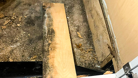 Water Damage Restoration in New Jersey