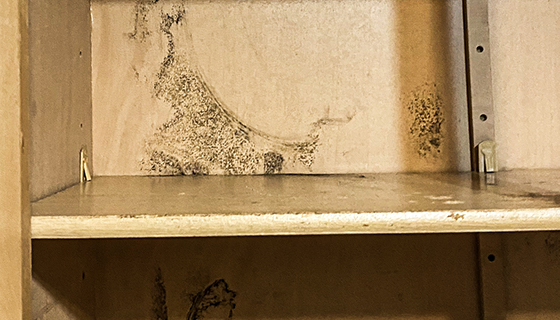 Water Damage Restoration in New Jersey