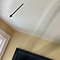 Multi-Area Mold Remediation in Washington, DC