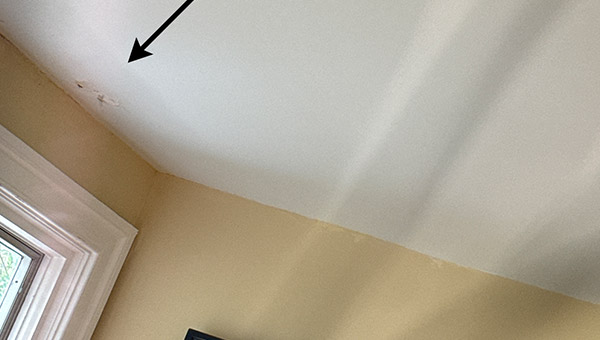 Multi-Area Mold Remediation in Washington, DC