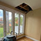 Multi-Area Mold Remediation in Washington, DC