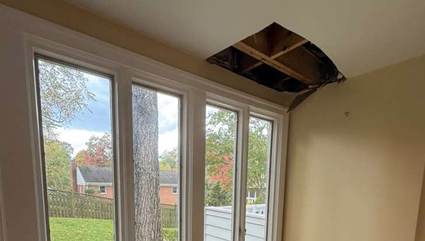 Multi-Area Mold Remediation in Washington, DC