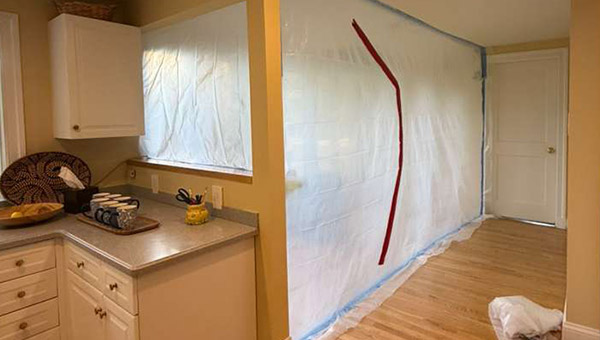 Multi-Area Mold Remediation in Washington, DC