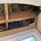 Multi-Area Mold Remediation in Washington, DC