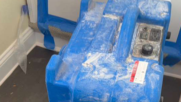 Multi-Area Mold Remediation in Washington, DC