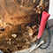 Multi-Area Mold Remediation in Washington, DC