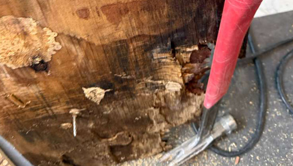 Multi-Area Mold Remediation in Washington, DC