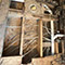 Multi-Area Mold Remediation in Washington, DC