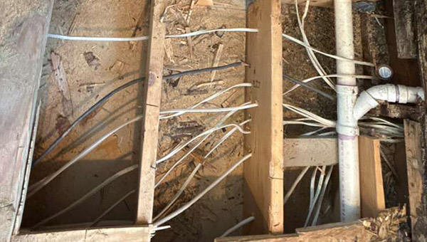 Multi-Area Mold Remediation in Washington, DC