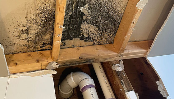 Water Damage Restoration in Miami, FL