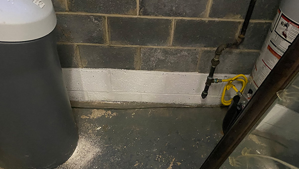 Mold Treatment in New Jersey