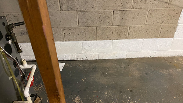 Mold Treatment in New Jersey