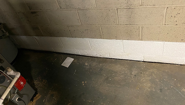 Mold Treatment in New Jersey