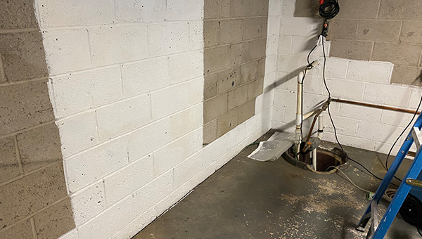 Mold Treatment in New Jersey