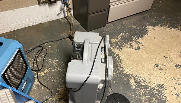 Mold Treatment in New Jersey
