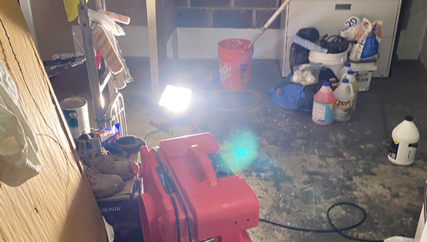 Mold Treatment in New Jersey