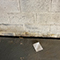 Mold Treatment in New Jersey