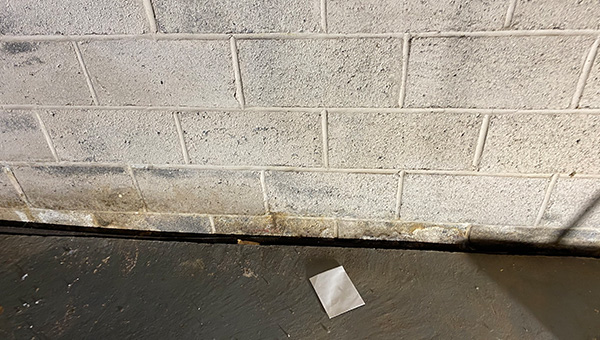 Mold Treatment in New Jersey