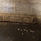 Mold Treatment in New Jersey