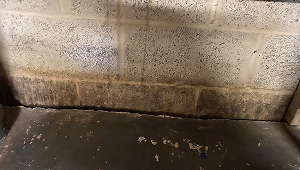Mold Treatment in New Jersey