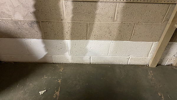 Mold Treatment in New Jersey