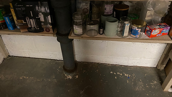Mold Treatment in New Jersey
